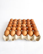 Huevos de Campo