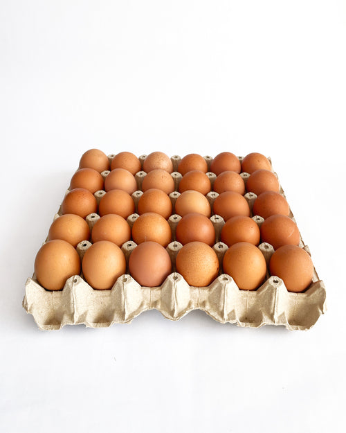 Huevos de Campo