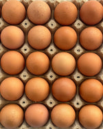 Huevos de Campo